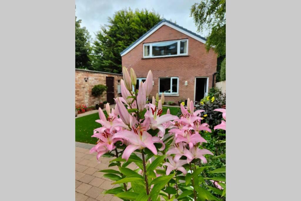 Bt 9 Granny Flat & Walled Garden Belfast Extérieur photo