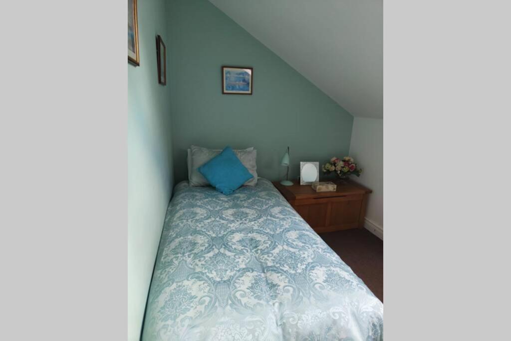 Bt 9 Granny Flat & Walled Garden Belfast Extérieur photo