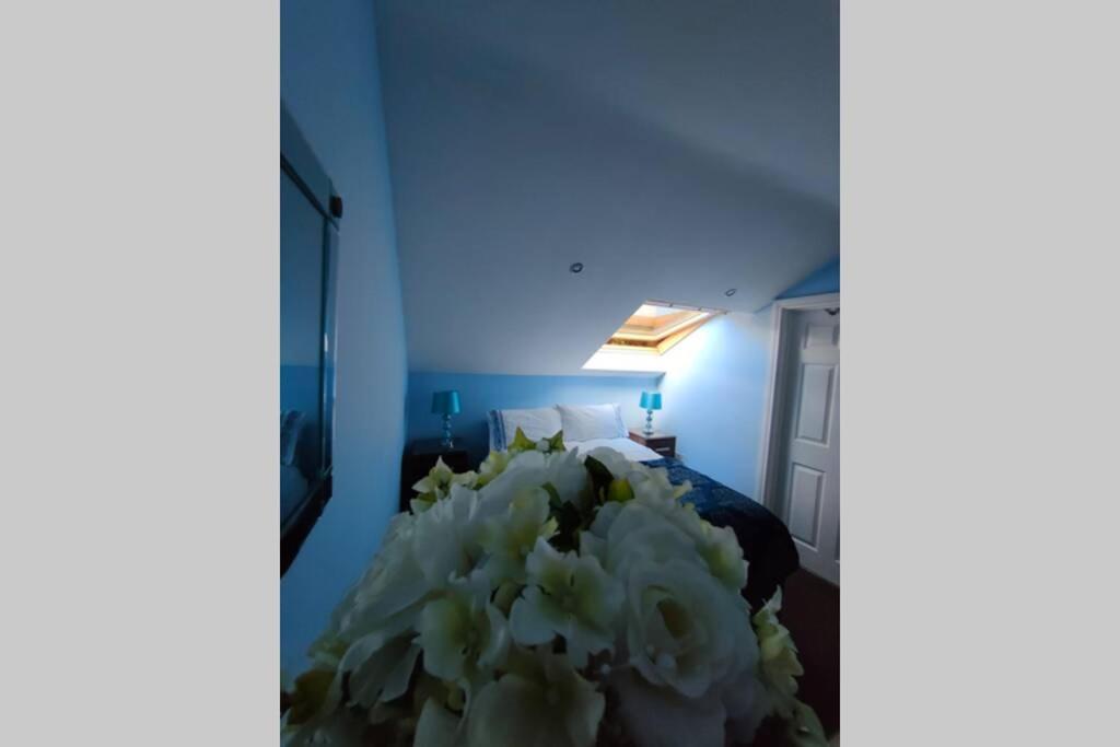 Bt 9 Granny Flat & Walled Garden Belfast Extérieur photo