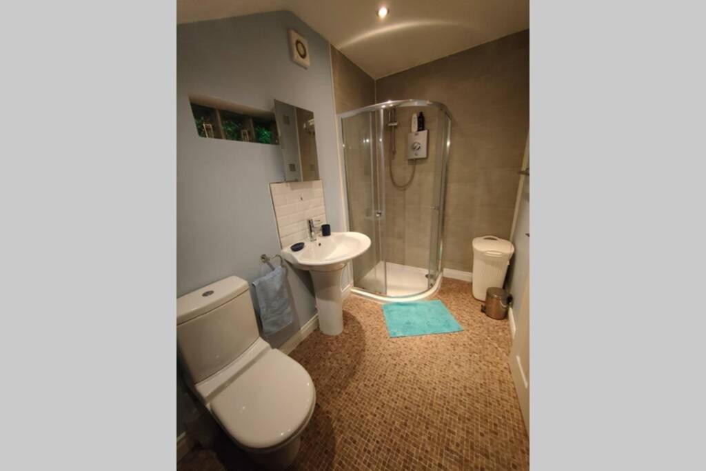Bt 9 Granny Flat & Walled Garden Belfast Extérieur photo