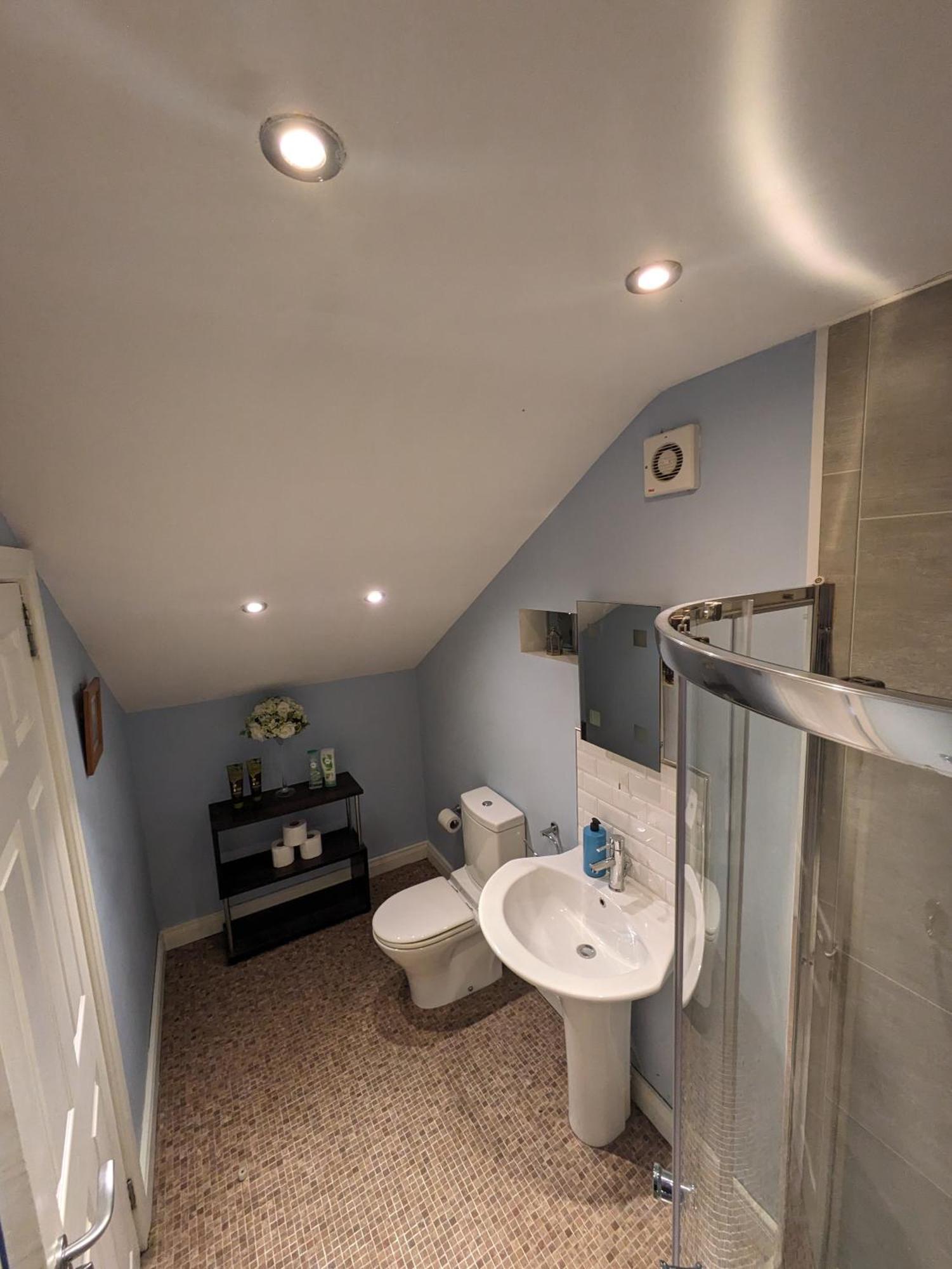 Bt 9 Granny Flat & Walled Garden Belfast Extérieur photo