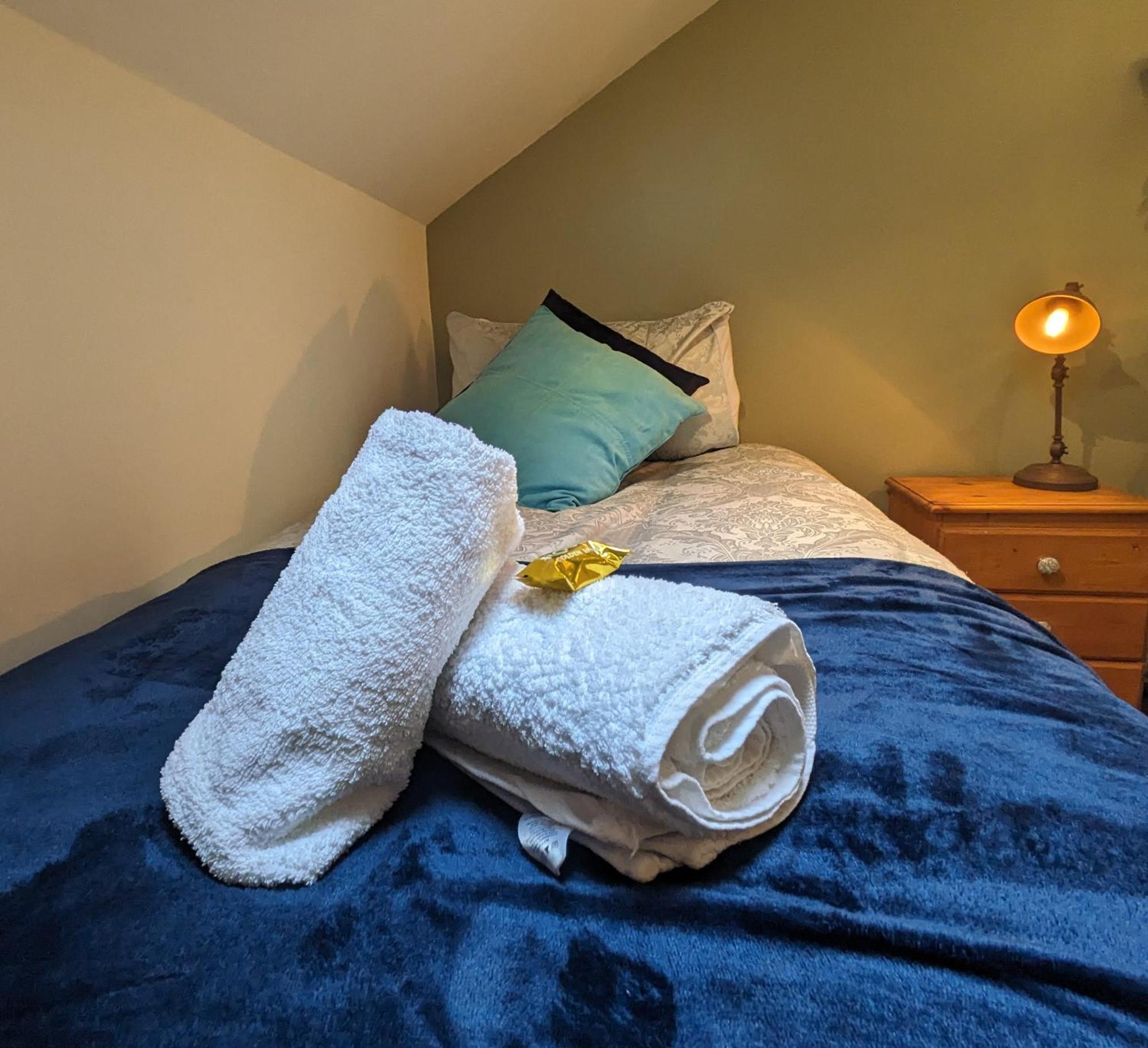 Bt 9 Granny Flat & Walled Garden Belfast Extérieur photo